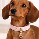 Pupet Couture - collar de piel aurora-11