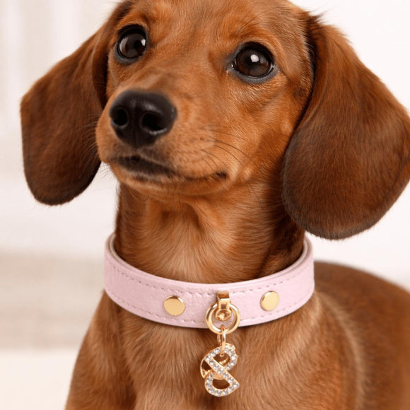 Pupet Couture - collar de piel aurora