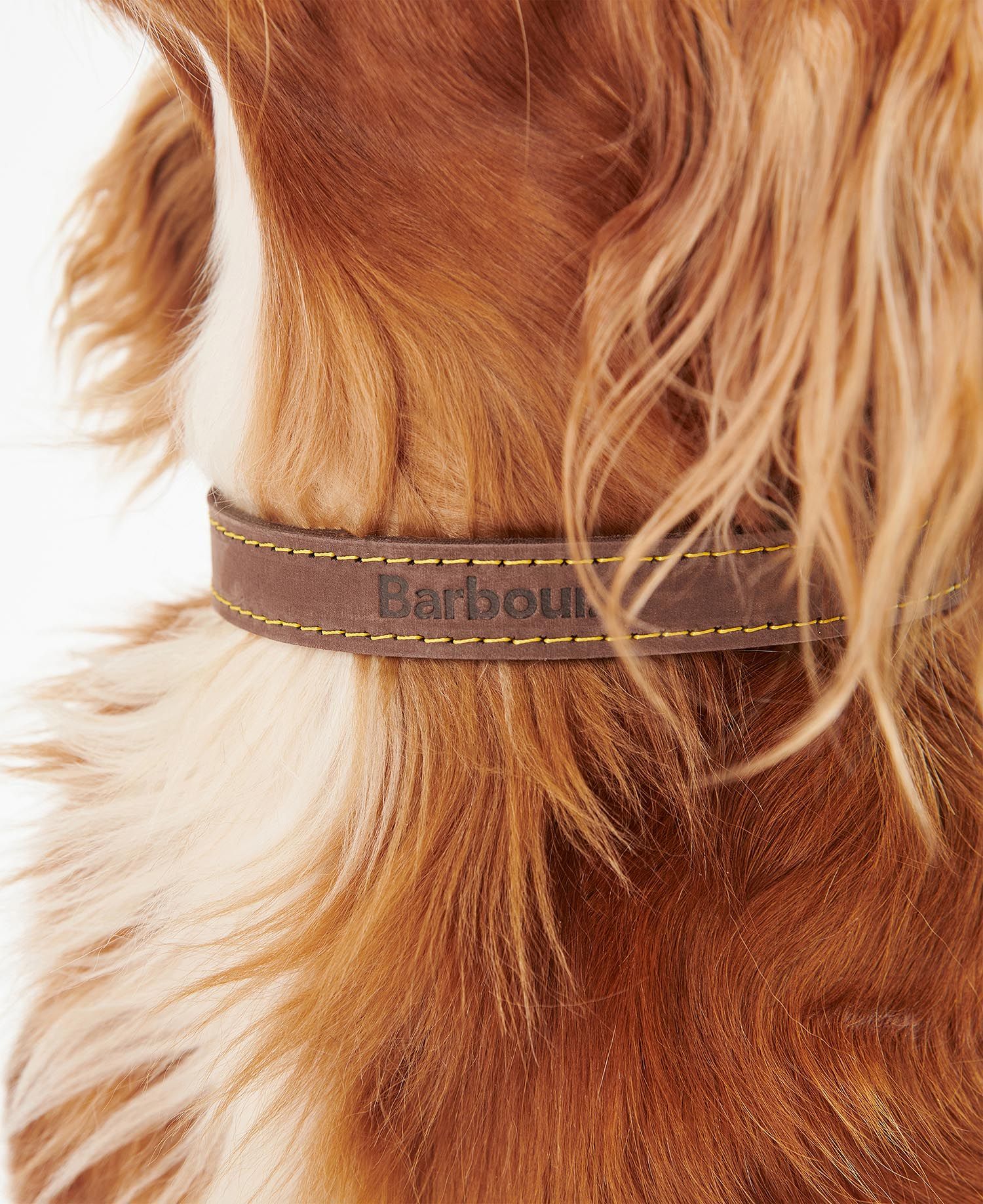 Barbour - Collare per cani in pelle