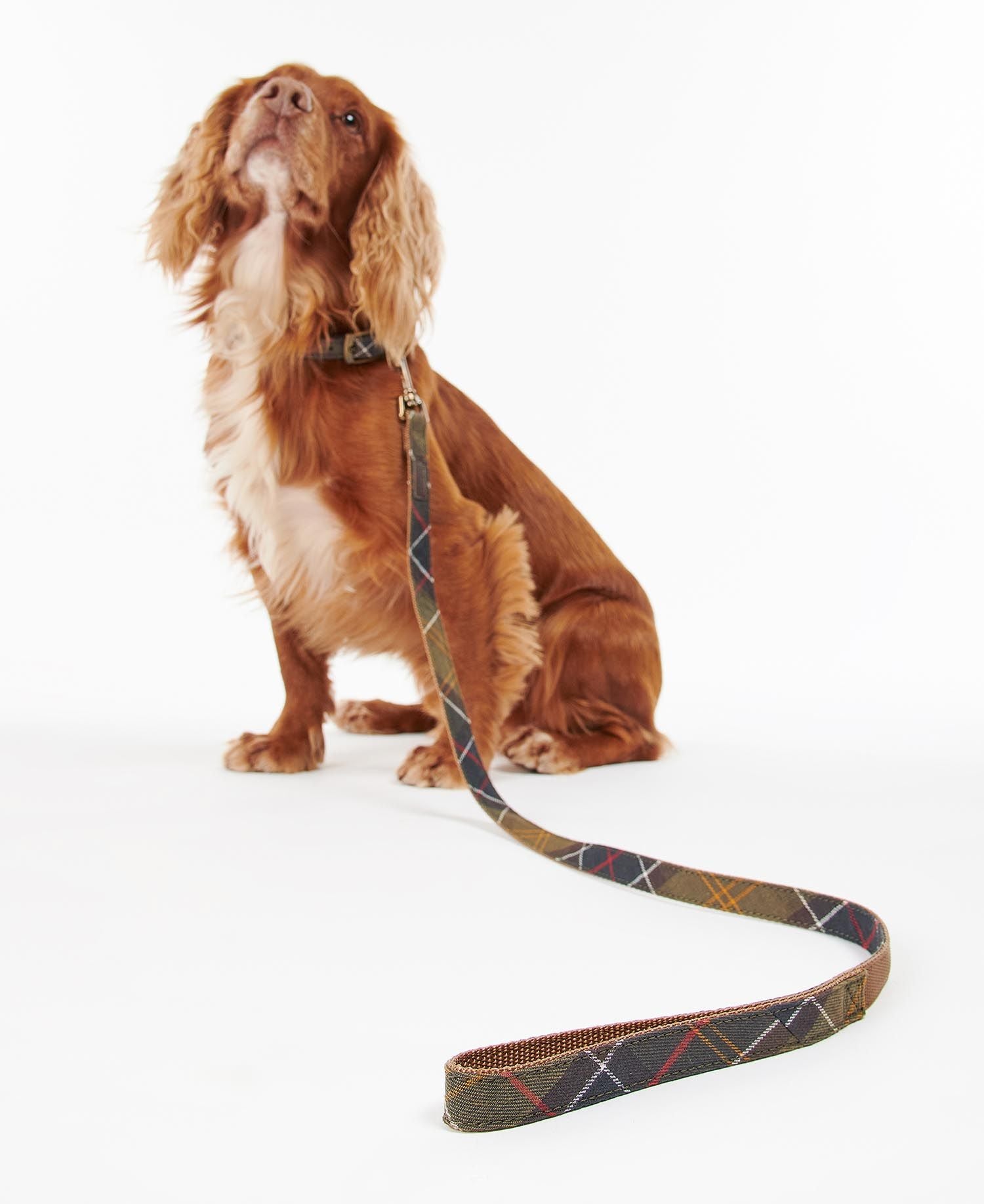 Barbour - Guinzaglio per cani Webbing Tartan