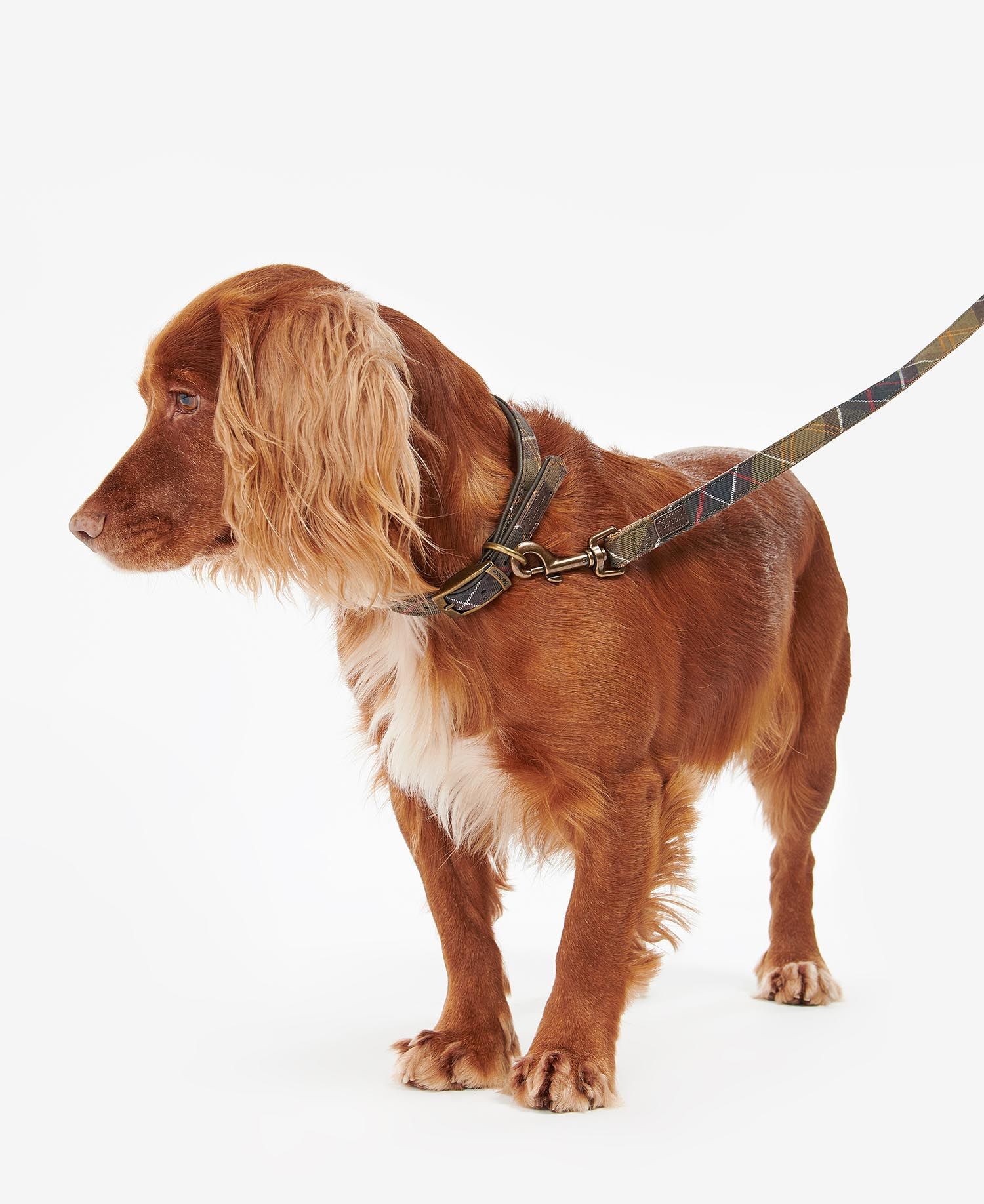 Barbour Webbing Tartan Dog Lead