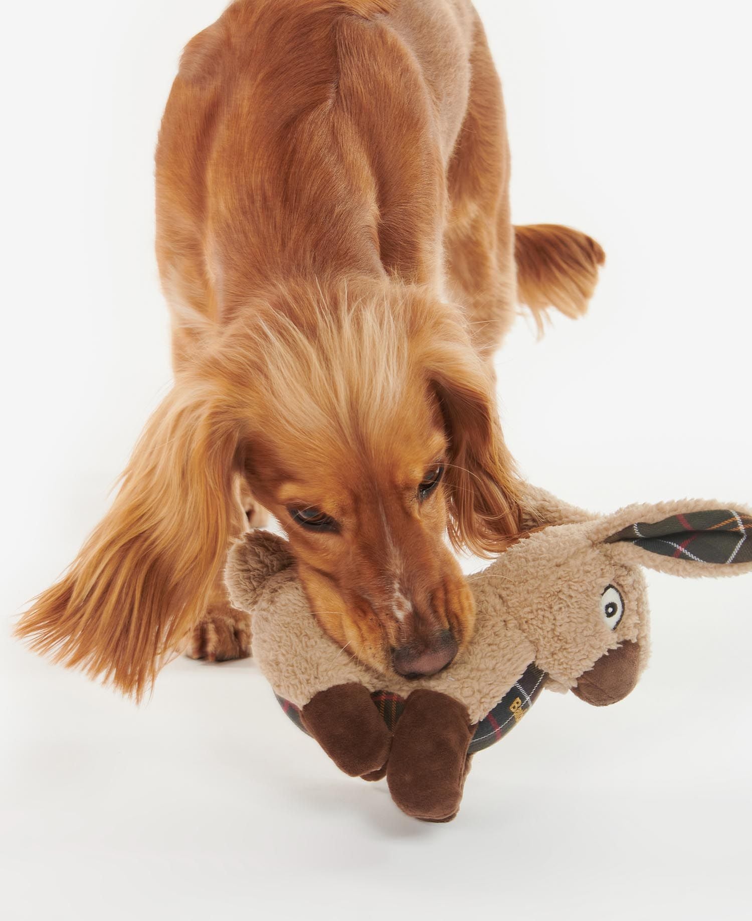 Barbour - Rabbit Dog Toy