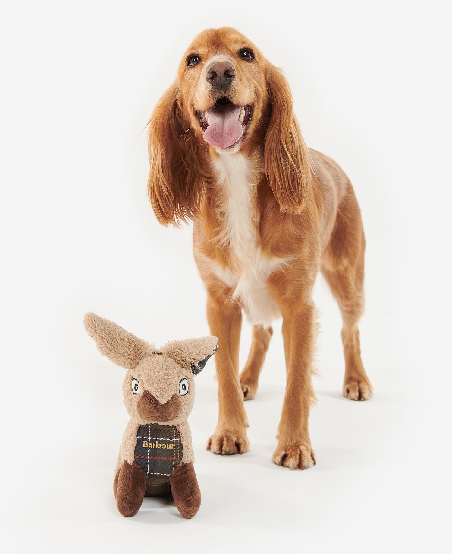 Barbour - Rabbit Dog Toy