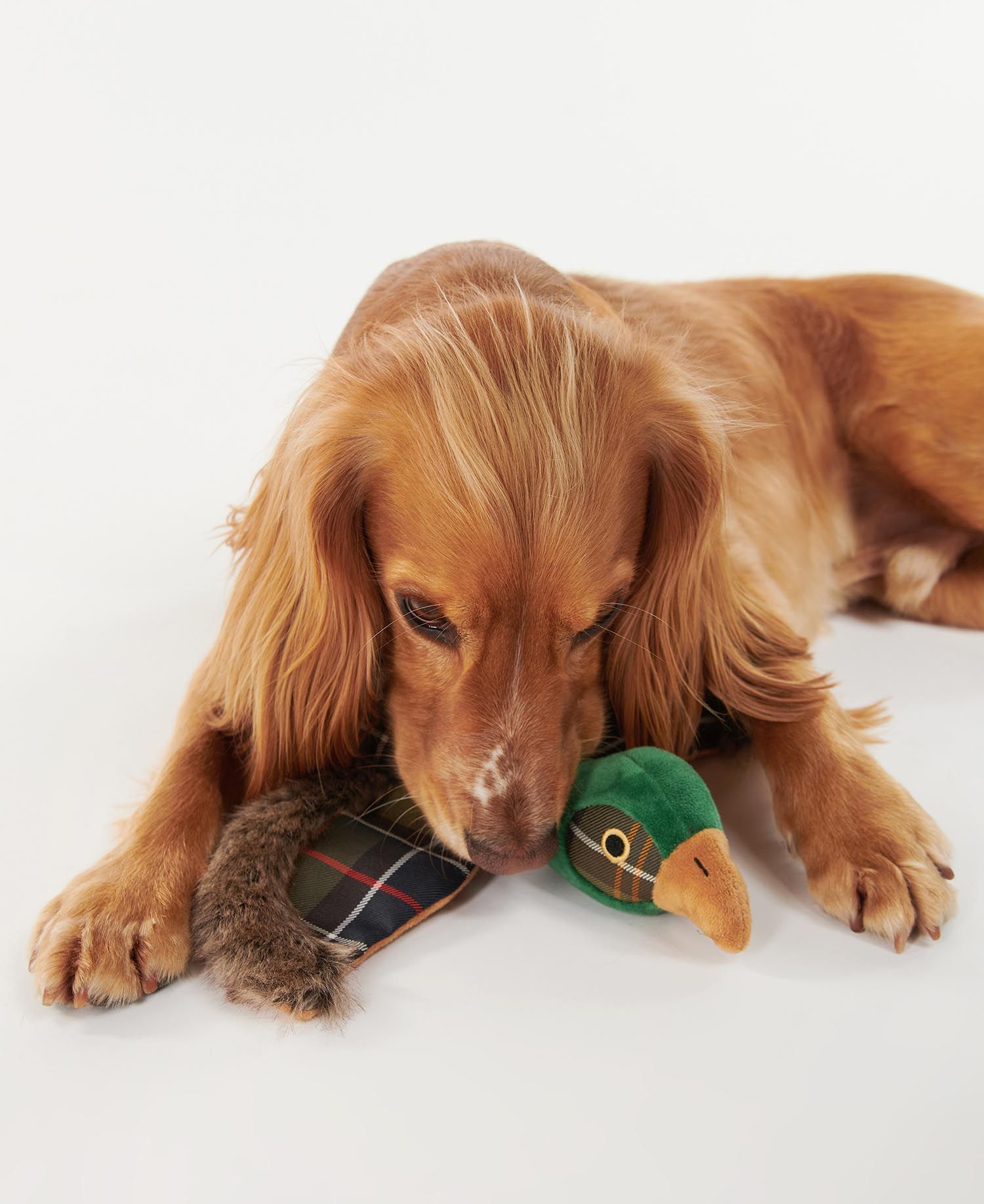 Barbour - Pheasant Dog Toy