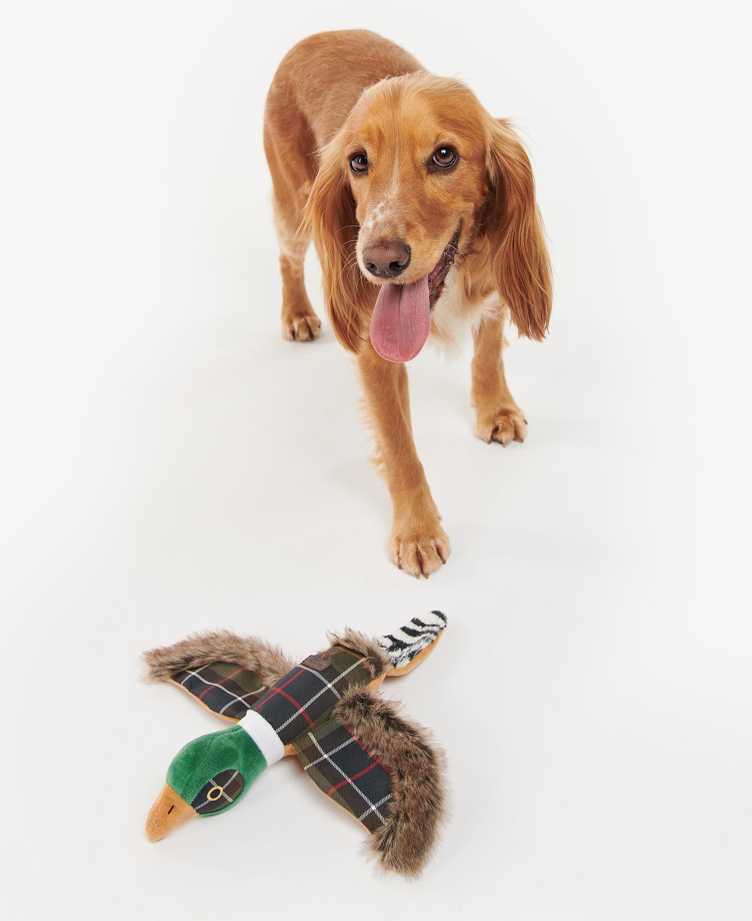 Barbour - Fasanen-Hundespielzeug