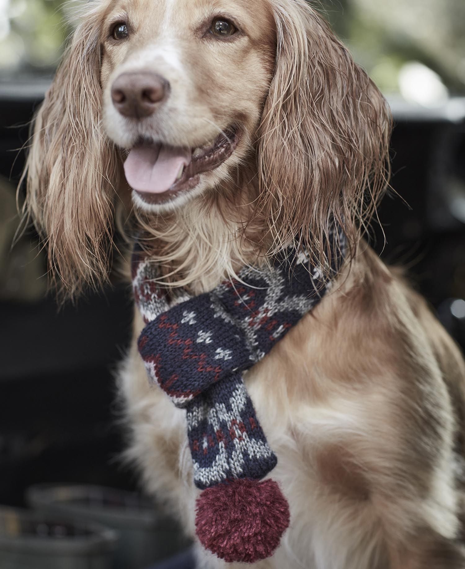 Perro Barbour Fair Isle Pañuelo