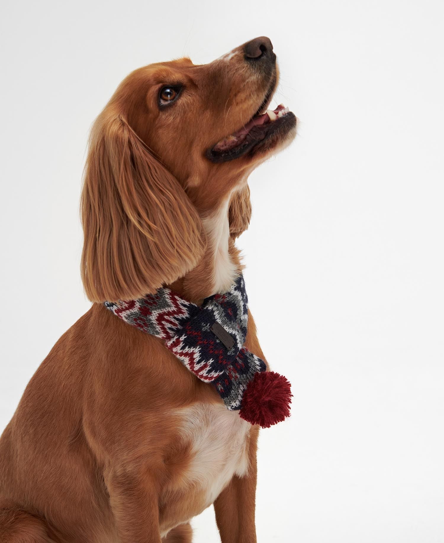 Barbour - Sciarpa per cani con fantasia Fair Isle