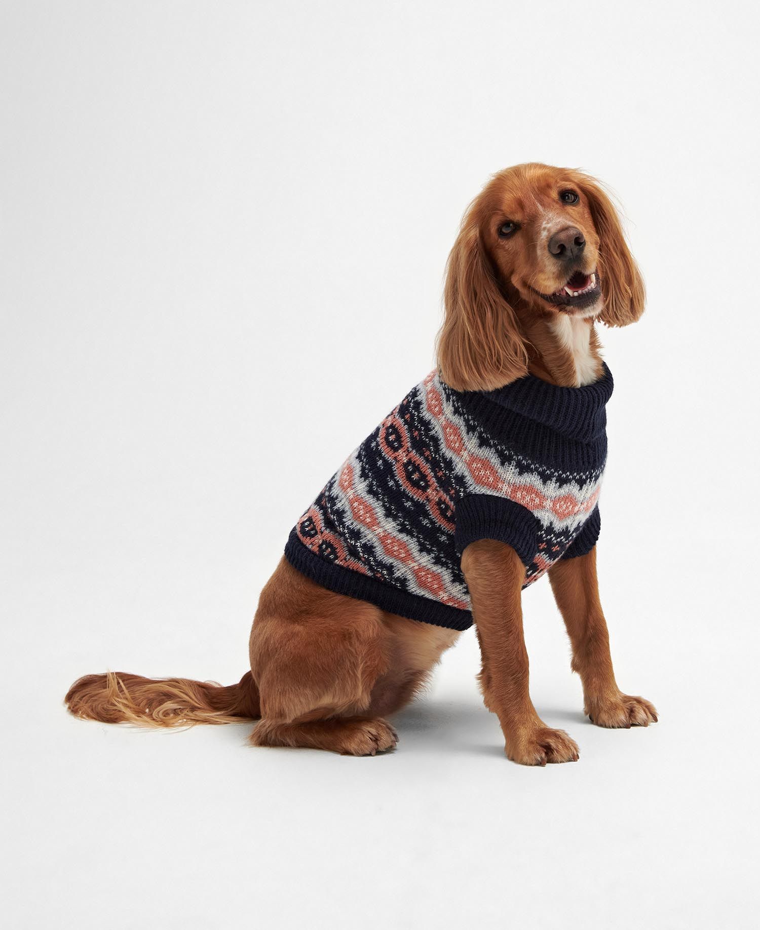 Set de regalo para perros Barbour Fair Isle