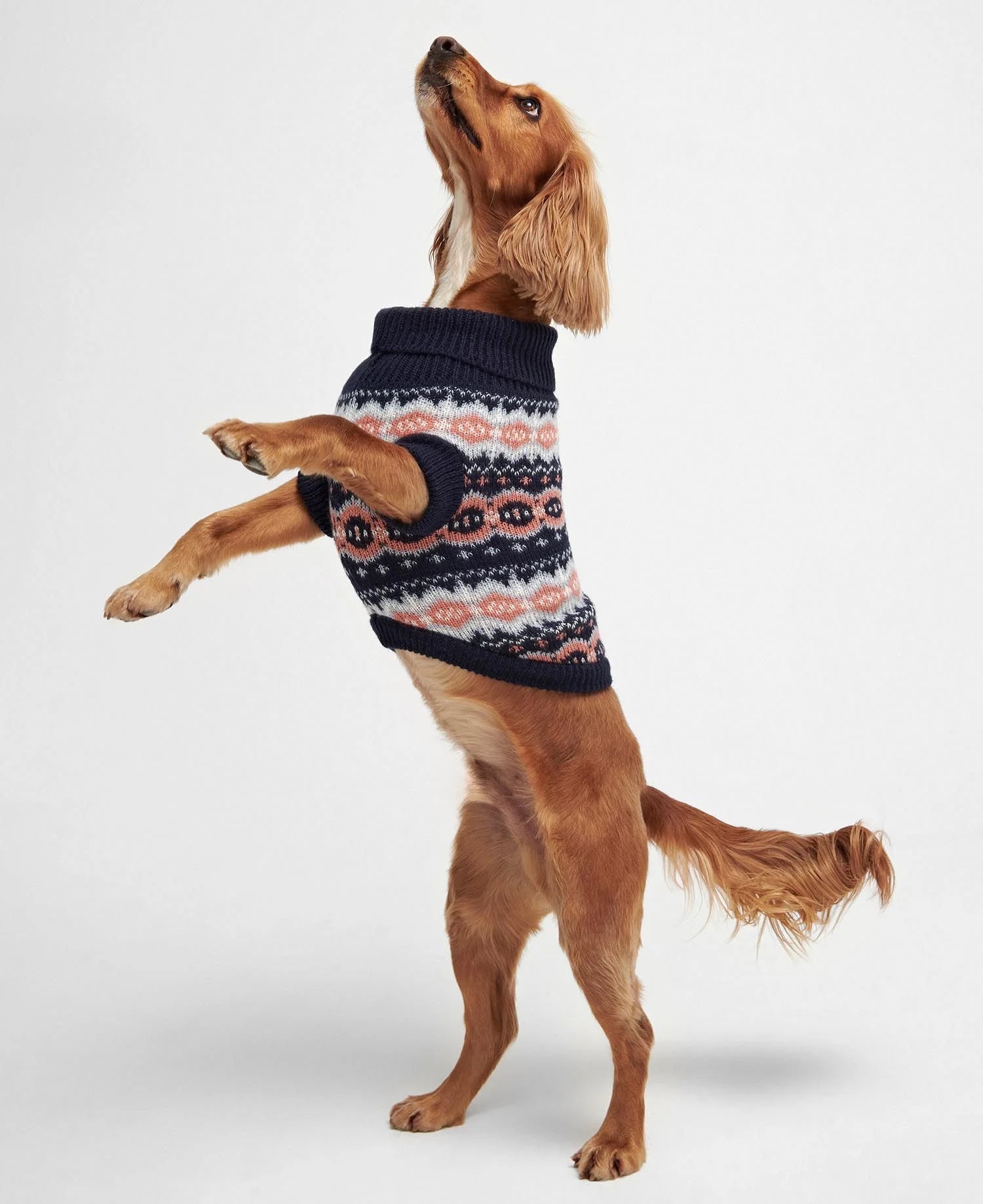 Barbour - Set regalo per cani con fantasia Fair Isle