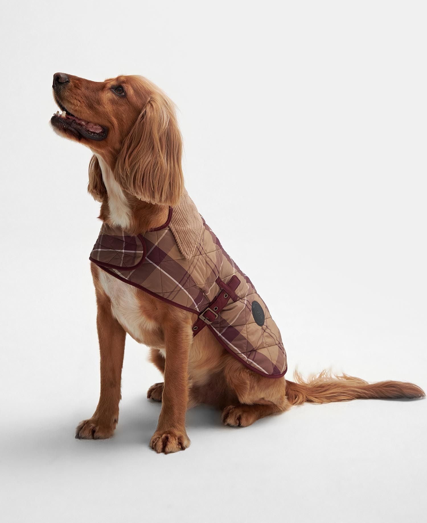 Barbour - Quilted Dog Coat