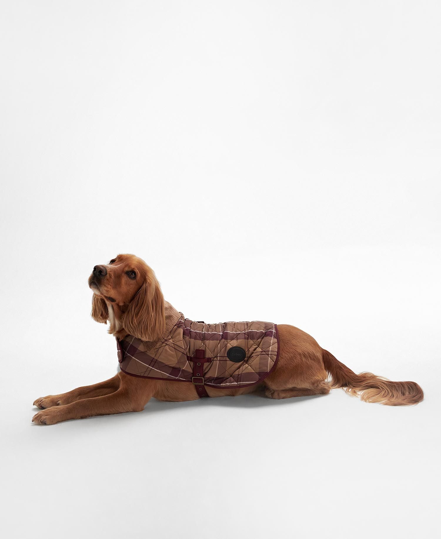 Barbour - Manteau matelassé pour chien