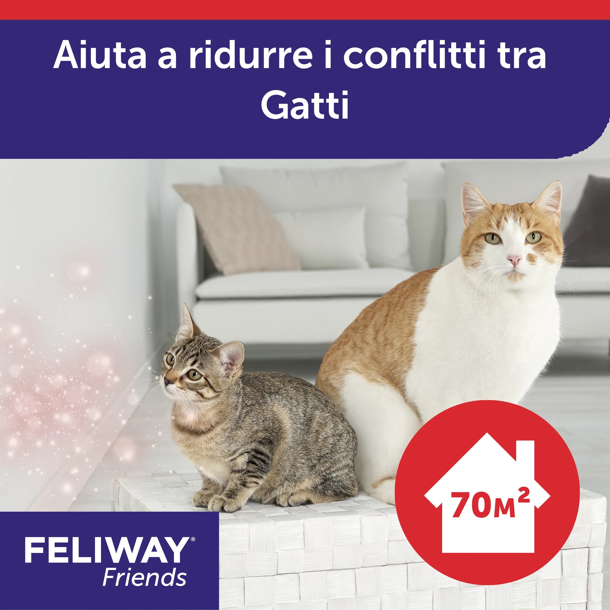 Pet Boutique - FELIWAY Friends