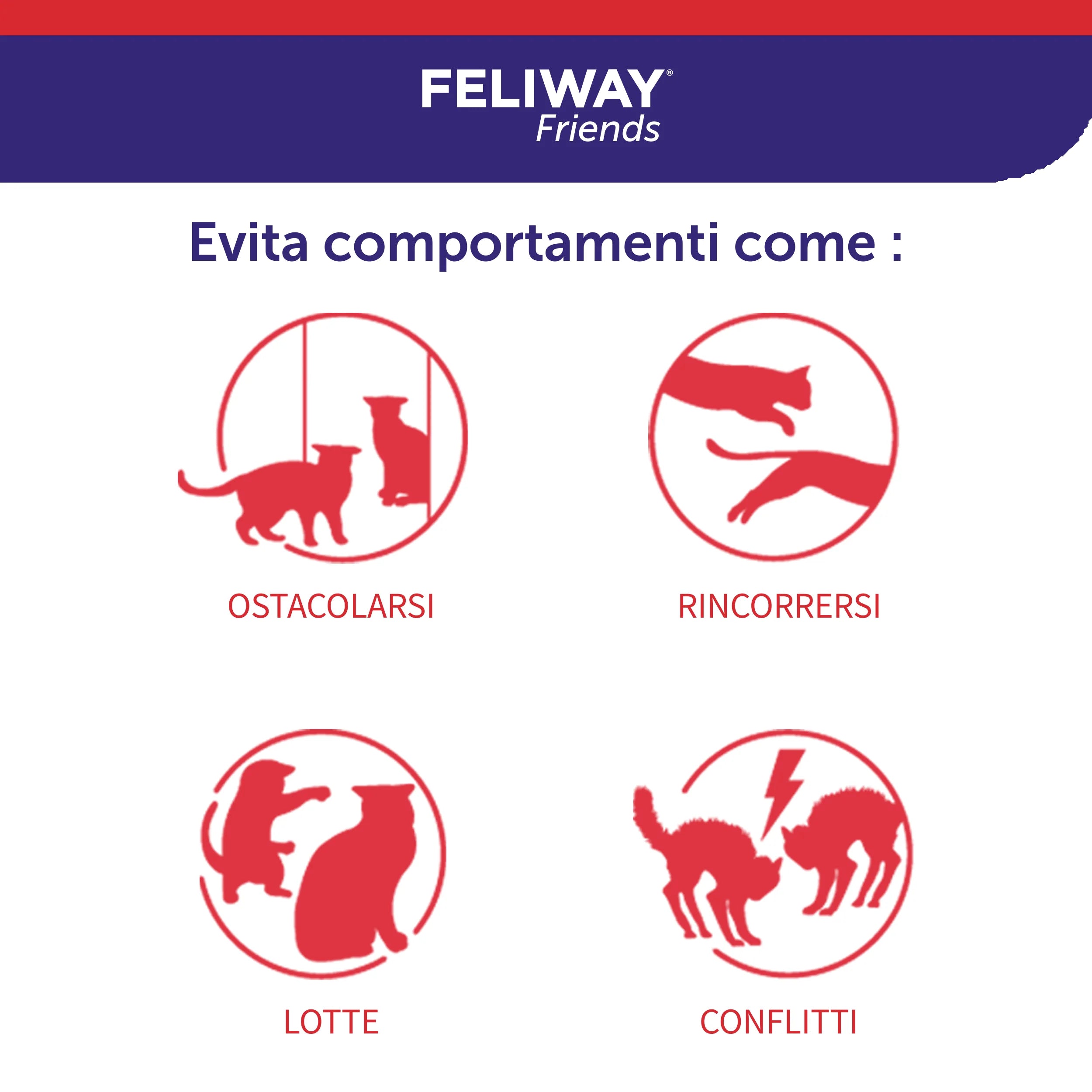 Pet Boutique - FELIWAY Friends