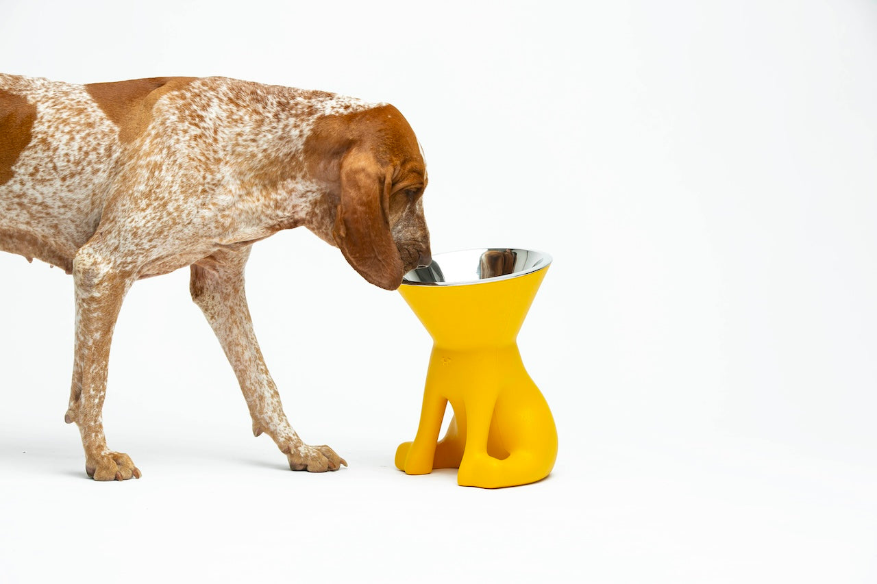 Pet Boutique - United Pets - Elizabeth - The Queen of Bowls