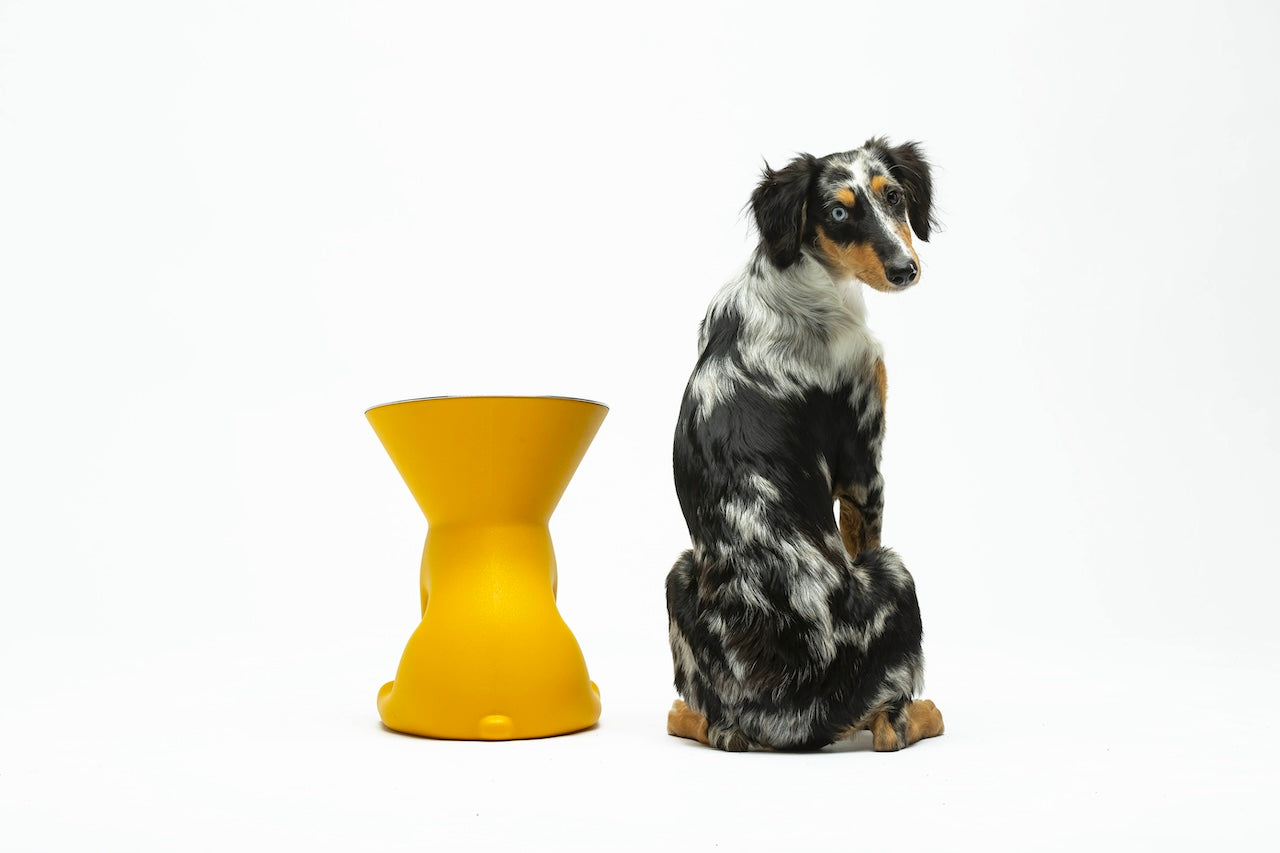 Pet Boutique - United Pets - Elizabeth - The Queen of Bowls