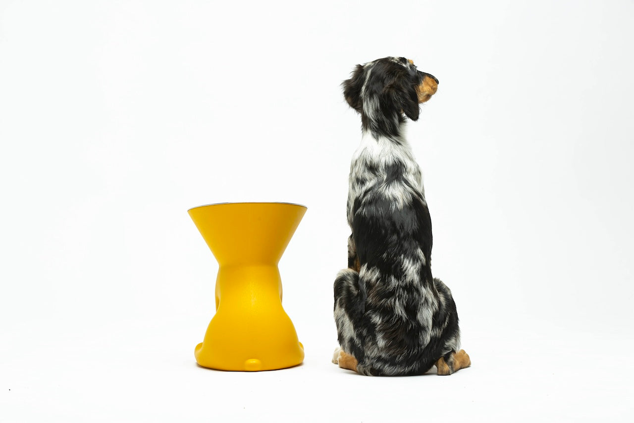 Pet Boutique - United Pets - Elizabeth - The Queen of Bowls