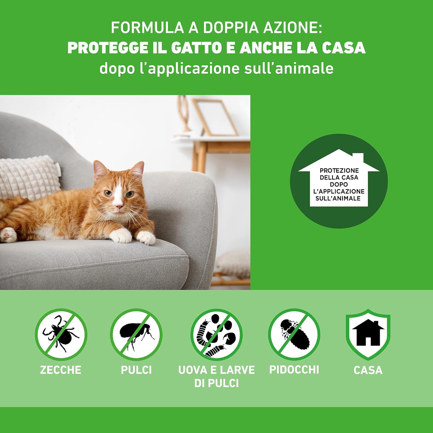 Pet Boutique - FRONTLINE Combo Gatto