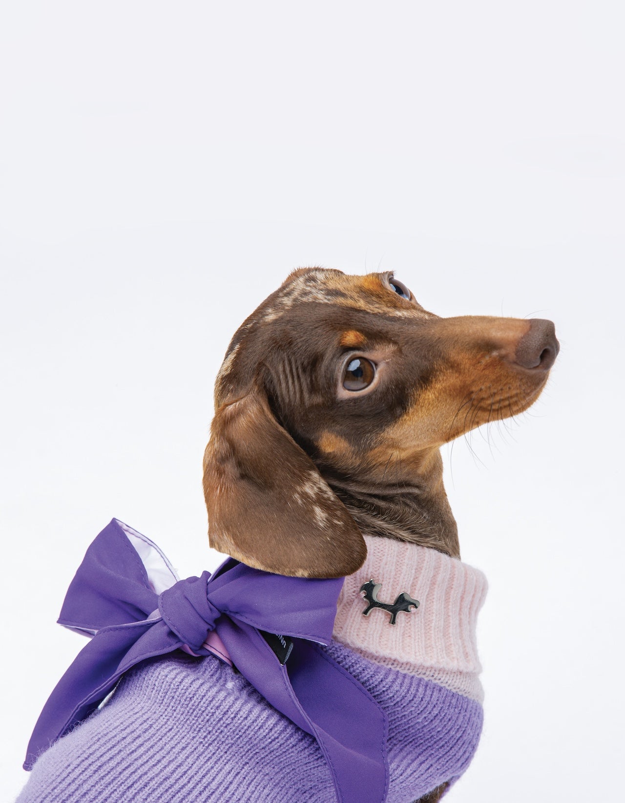 United Pets - Complete Me - Dolcevita Warmy Viola/rosa - 0