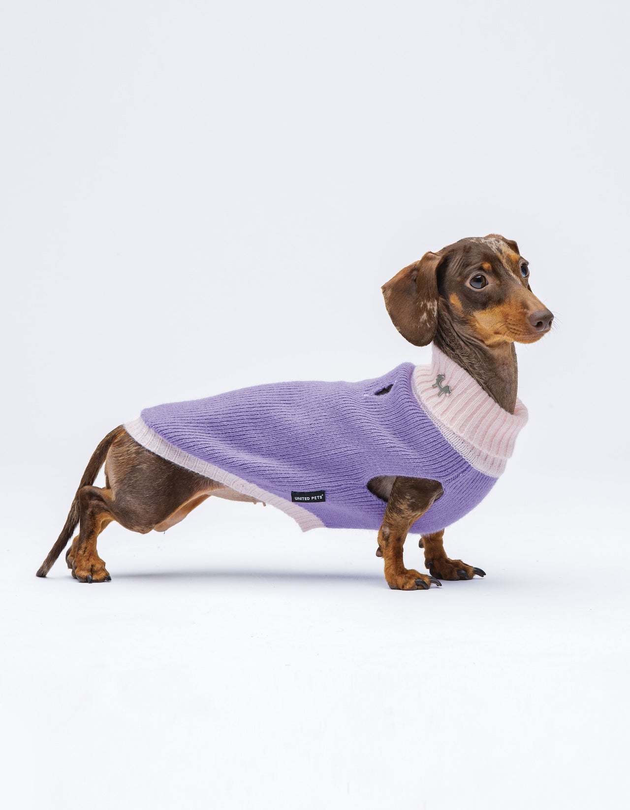 United Pets - Complete Me - Dolcevita Warmy Viola/rosa - 0