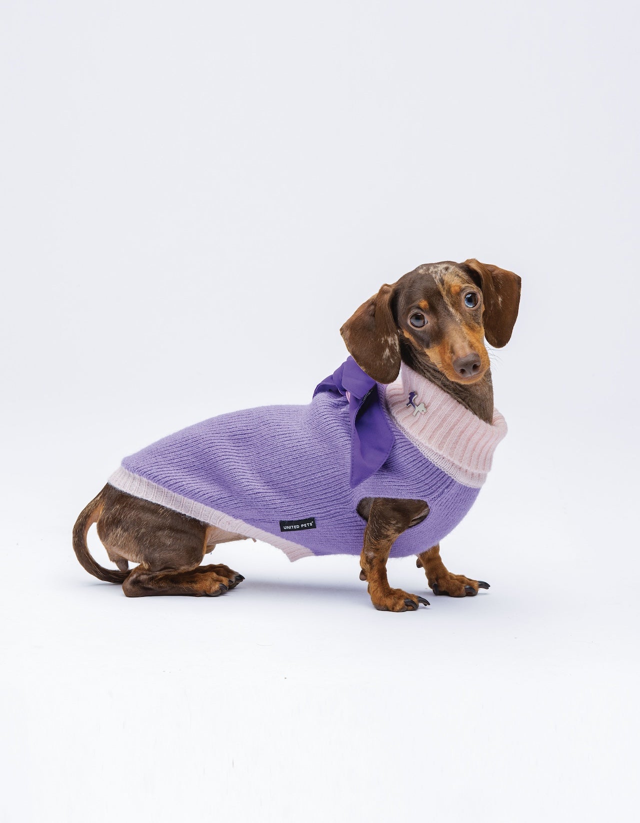 United Pets - Complete Me - Dolcevita Warmy Viola/rosa