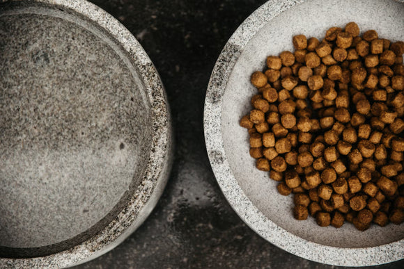 Kentucky - Cuenco para perros de granito