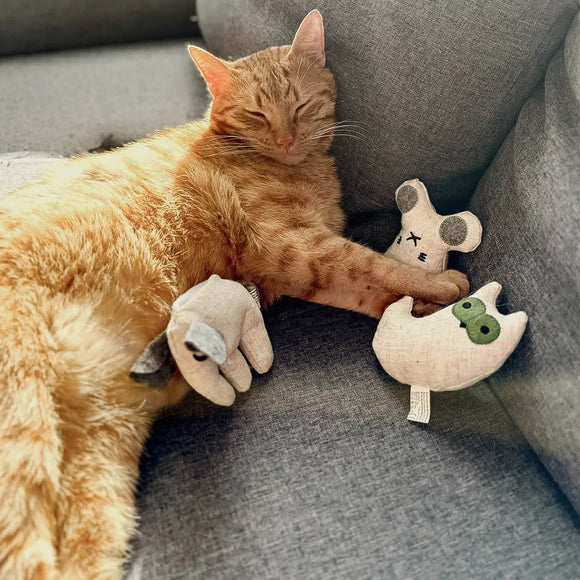 Ne&No - Spielzeug für Katzen Set 3 Puppen