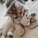 Ne&No - Spielzeug für Katzen Set 3 Puppen-9