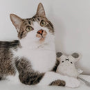 Ne&No - Spielzeug für Katzen Set 3 Puppen-12