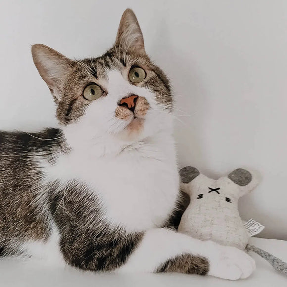 Ne&No - Spielzeug für Katzen Set 3 Puppen