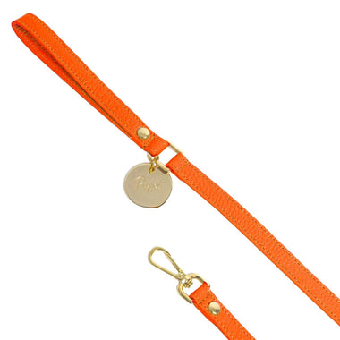 Pupet Couture - laisse aurora - 0