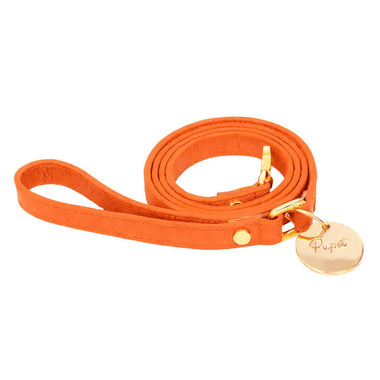 Pupet Couture - laisse aurora