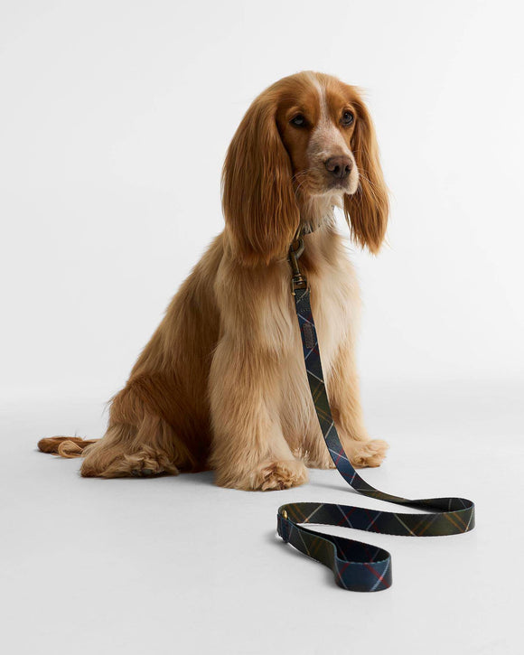 Barbour Guinzaglio per cani stampato in tartan
