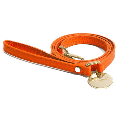 Achat arancione Pupet Couture - laisse en cuir