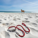 Sailing Line set in Corda Bordeaux & Mercurio-1