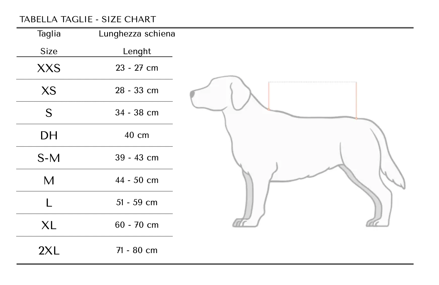 Guida alle taglie PetBoutique