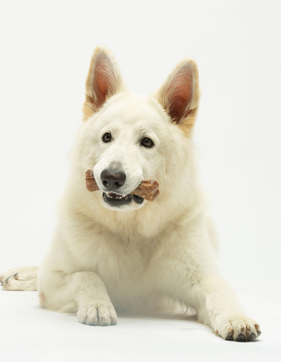 Cheewi - Bone in Cheese and Peanut Butter