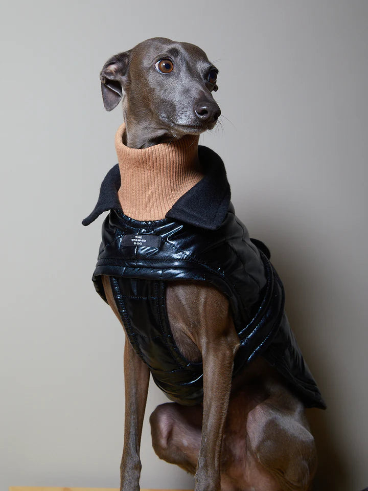 Turtleneck jacket