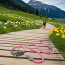 Sailing Line establecida en Corda Rosa y Mercurio-1