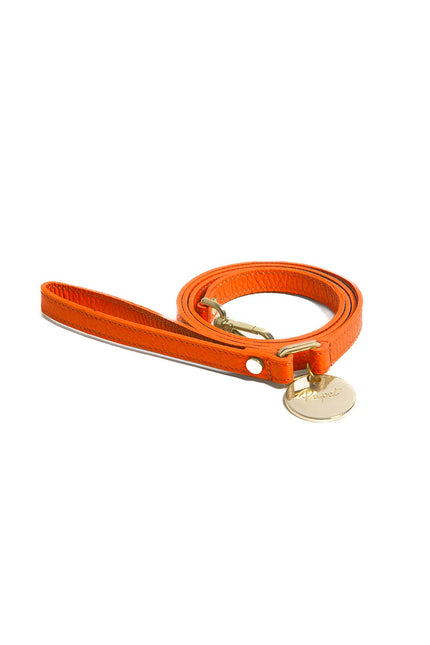 Compra arancione Pupet Couture - guinzaglio in pelle