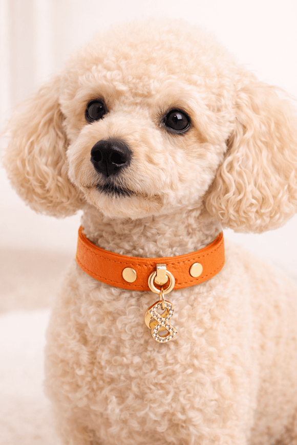 Pupet Couture - collar de piel aurora