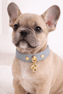 Pupet Couture - collar de piel aurora-4