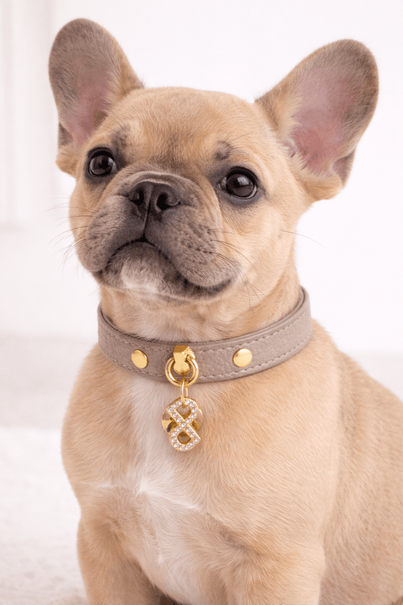 Pupet Couture - collar de piel aurora