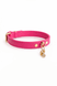 Fucsia