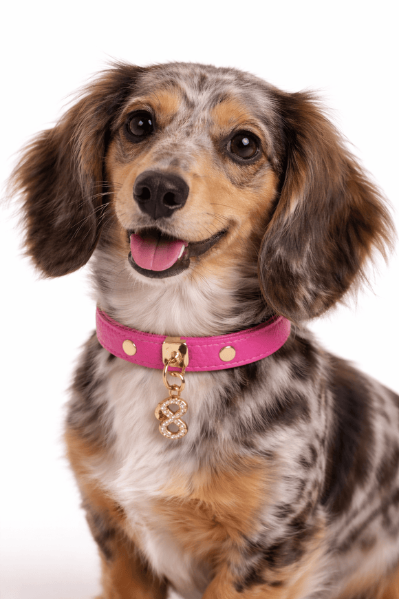 Pupet Couture - collar de piel aurora