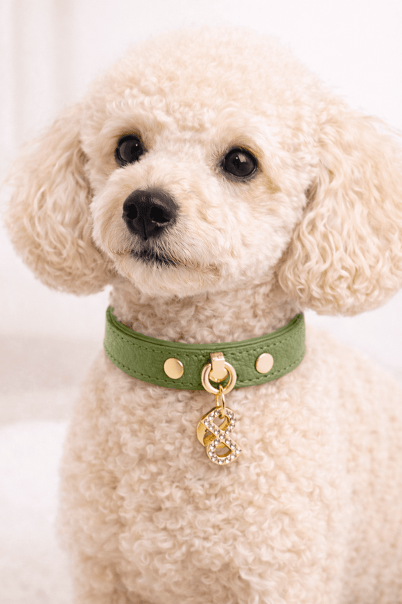 Pupet Couture - collar de piel aurora