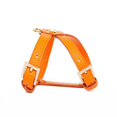 Pupet Couture - pettorina aurora - 0
