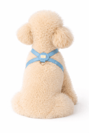 Pupet Couture - arnés aurora-9