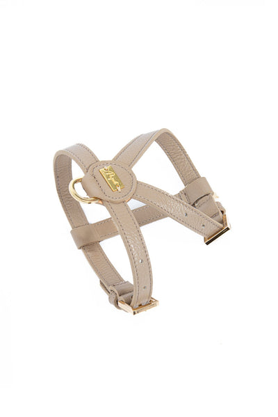 Compra cammello Pupet Couture - pettorina aurora