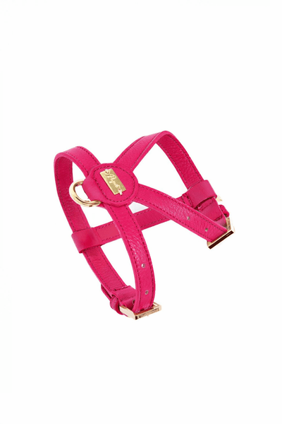 Compra fucsia Pupet Couture - pettorina aurora