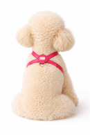 Pupet Couture - arnés aurora-17